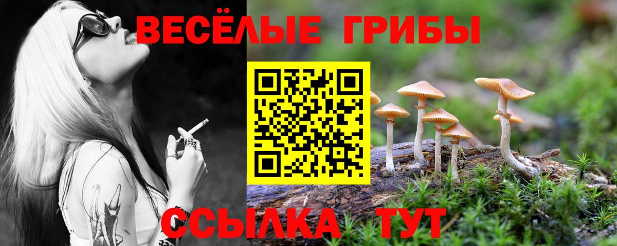 Псилоцибиновые грибы прущие грибы  Вход с VPN  Улан-Удэ 